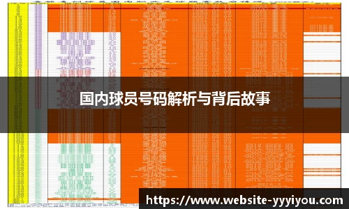 国内球员号码解析与背后故事